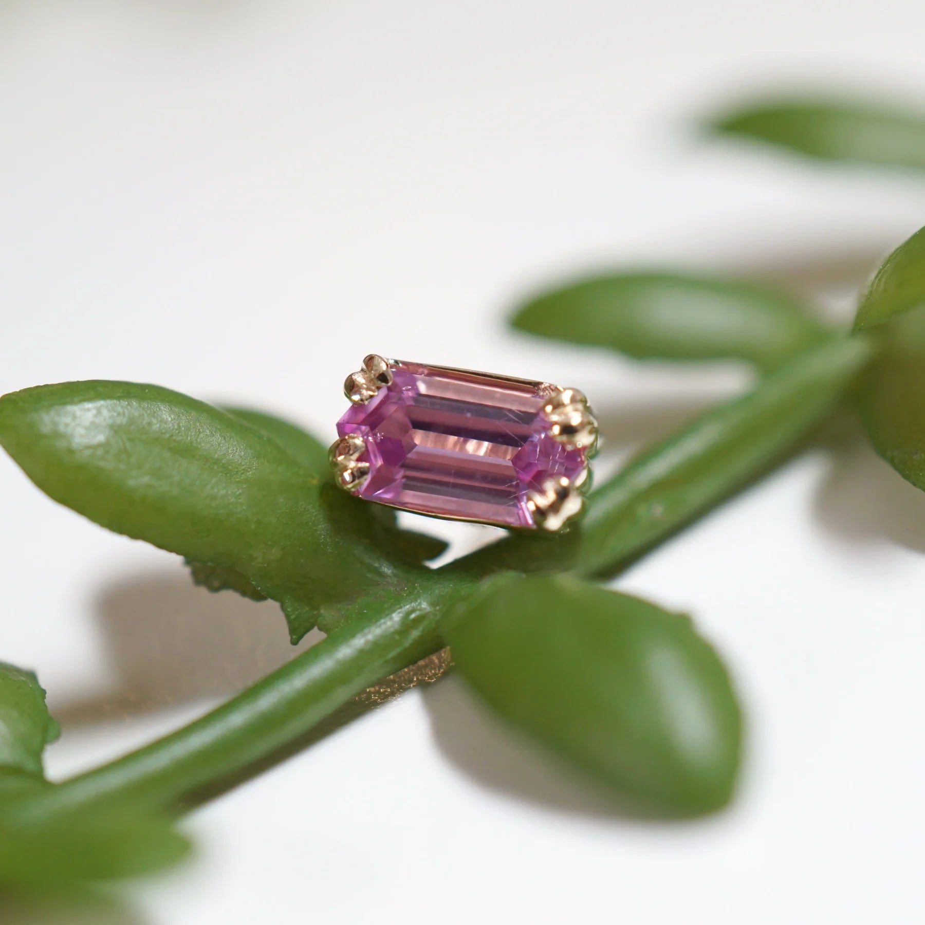 LE Double Claw - Modern Mood